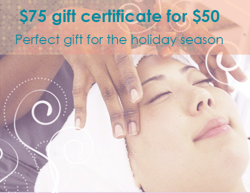 Elaine Sterling Institute Spa Holiday Deal